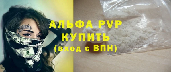 сатива Бородино