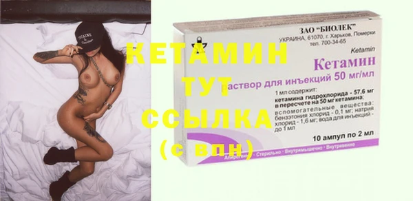 сатива Бородино