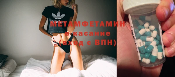 сатива Бородино