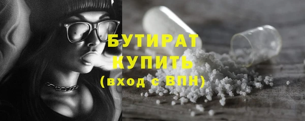 сатива Бородино