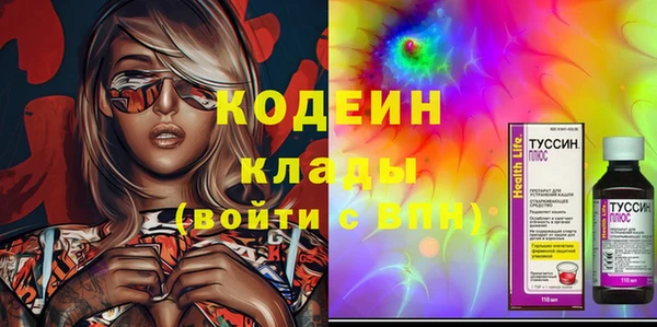 сатива Бородино