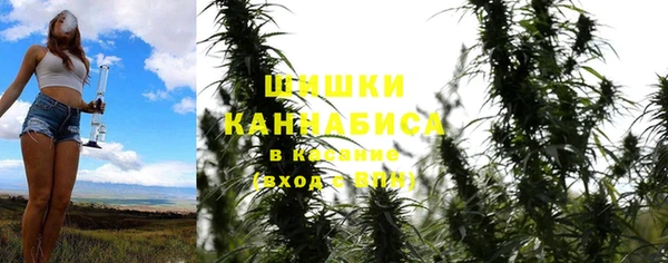 сатива Бородино