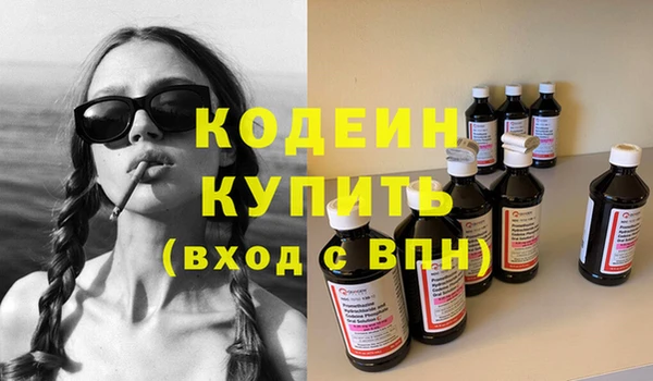 сатива Бородино