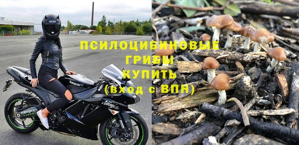 сатива Бородино